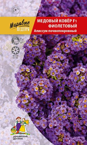 Алиссум почвопокровный МЕДОВЫЙ КОВЁР F1 ФИОЛЕТОВЫЙ