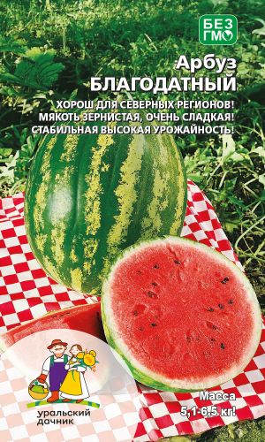 Арбуз БЛАГОДАТНЫЙ