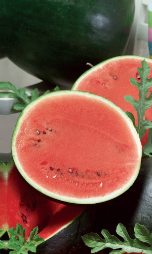 Арбуз УЛЬТРАСКОРОСПЕЛЫЙ
