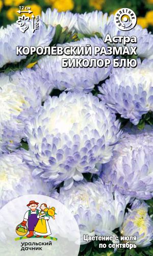 Астра КОРОЛЕВСКИЙ РАЗМАХ БИКОЛОР БЛЮ