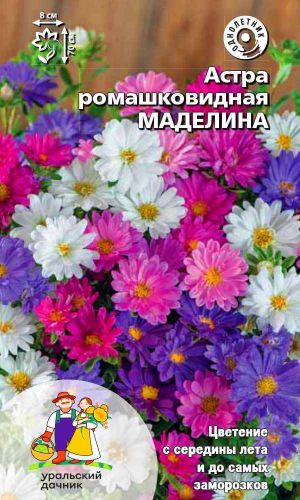 Астра МАДЕЛИНА