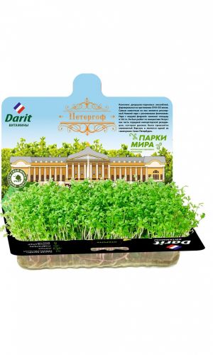 DARIT (ДАРИТ) НАБОР КРЕСС-САЛАТ
