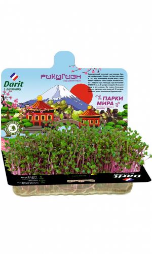 DARIT (ДАРИТ) НАБОР МИЗУНА