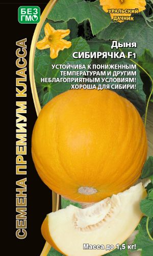 Дыня СИБИРЯЧКА F1