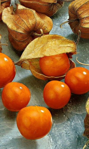 Физалис ДЕСЕРТНЫЙ