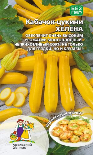 Кабачок ХЕЛЕНА