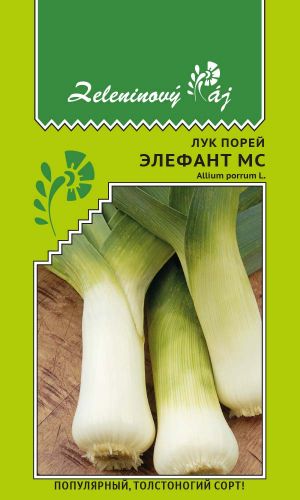 Лук порей ЭЛЕФАНТ МС