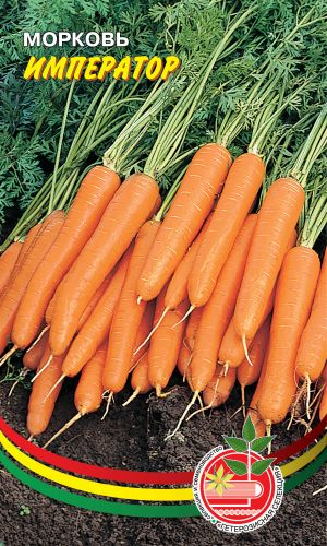 Морковь ИМПЕРАТОР &mdash; Обладает стабильной урожайностью, хорошими вкусовыми качествами, отличной лёжкостью!