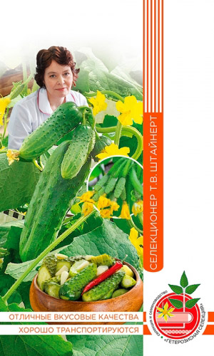Огурец БАЙКАЛ коллекция Татьяны Штайнерт