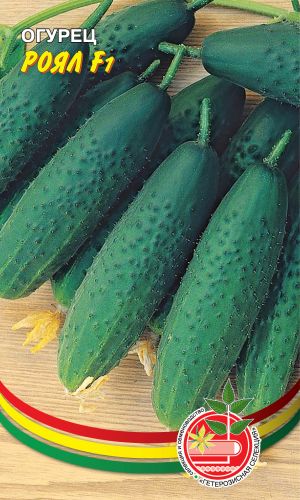 Огурец РОЯЛ F1