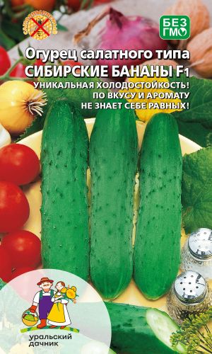 Огурец СИБИРСКИЕ БАНАНЫ F1 &mdash; Уникальная холодостойкость! По вкусу и аромату не знает себе равных!