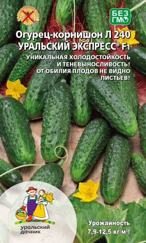 Огурец Л 240 УРАЛЬСКИЙ ЭКСПРЕСС F1