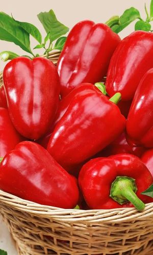 Перец ЕГИПЕТСКАЯ СИЛА