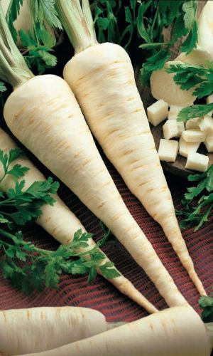 Петрушка корневая УРАЛЬСКАЯ УСАДЬБА