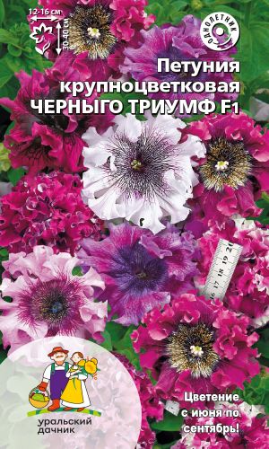 Петуния ЧЕРНЫГО ТРИУМФ F1