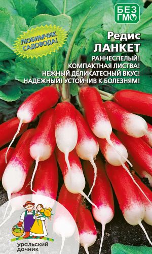 Редис ЛАНКЕТ