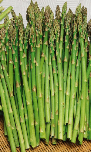 Спаржа ЗЕЛЁНАЯ