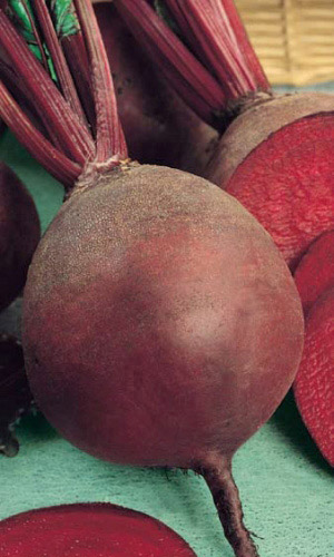 Свёкла КРАСНЫЙ ШАР (ЧЕРВОНА КУЛА)