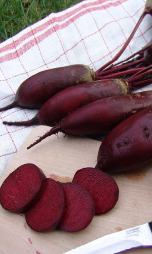 Свёкла КУРАЖ F1