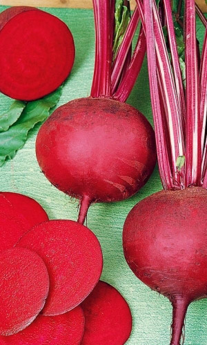 Свёкла ЛЮБАВА