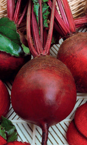 Свёкла СМУГЛАЯ КРАСАВИЦА