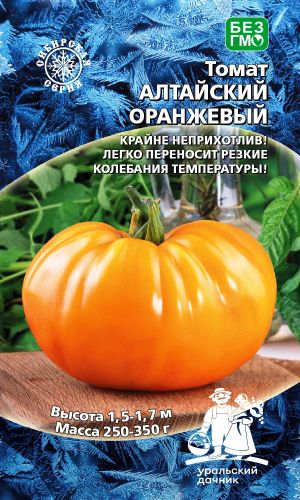 Томат АЛТАЙСКИЙ ОРАНЖЕВЫЙ — Массой до 500г! Крайне неприхотлив! Легко переносит резкие колебания температуры!