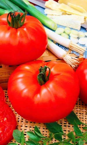 Томат МАСТЕР ГАРДЕН F1