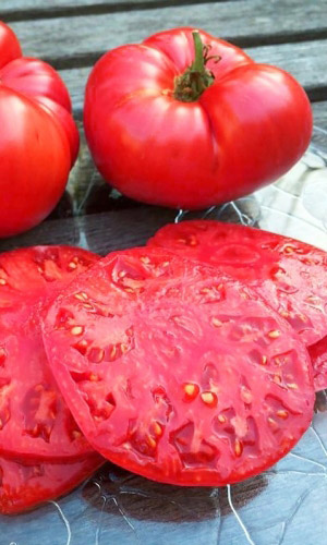 Томат ОГОРОДНИК