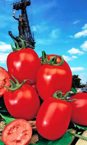 Томат ПЕТРОВСКИЙ