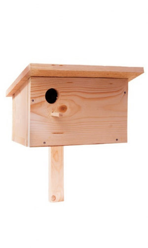 ТРЯСОГУЗОЧНИК