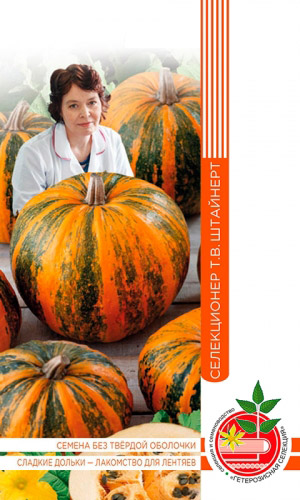 Тыква ЛИРИКА коллекция Татьяны Штайнерт