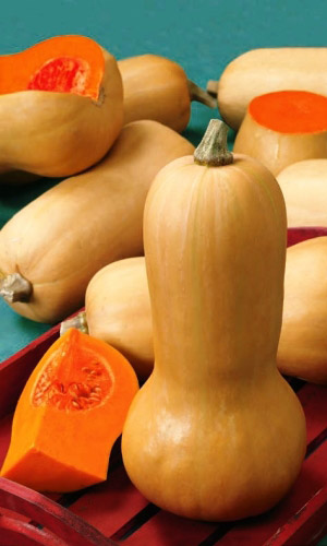 Тыква ОРЕХОВАЯ