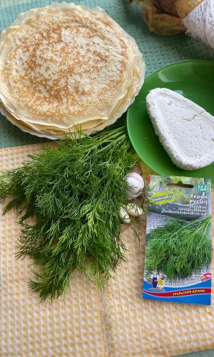 Укроп РУСИЧ