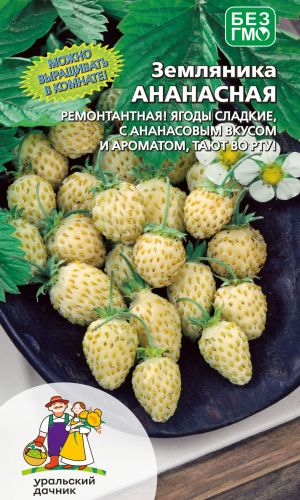 Земляника АНАНАСНАЯ
