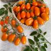 Томат ГИРЛЯНДА ОРАНЖЕВАЯ I3